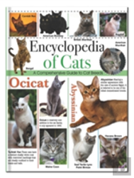 Encyclopedia Of Cats