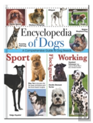 Encyclopedia Of Dogs