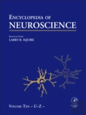 Encyclopedia Of Neuroscience