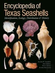 Encyclopedia Of Texas Seashells