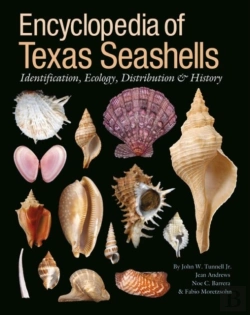 Bertrand.pt - Encyclopedia Of Texas Seashells