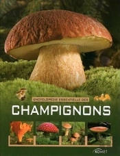Encyclopedie Essentielles Des Champignons