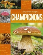 Encyclopédie Pratique Des Champignons