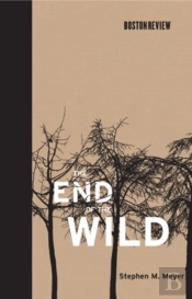 End Of The Wild