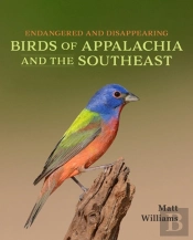 Endangered And Disappearing Birds Of Appalachia And The Southeast