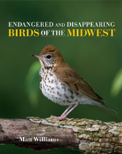 Endangered And Disappearing Birds Of The Midwest