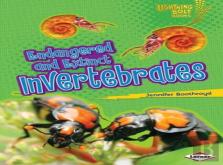Endangered And Extinct Invertebrates