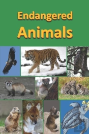 Endangered Animals
