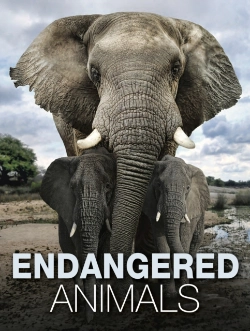 Bertrand.pt - Endangered Animals