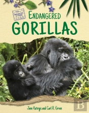Endangered Gorillas