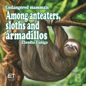 Endangered Mammals. Among Anteaters, Sloths And Armadillos