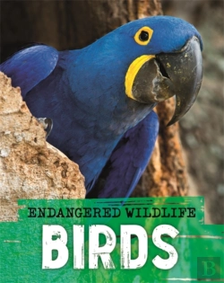 Bertrand.pt - Endangered Wildlife: Rescuing Birds