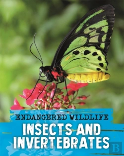 Bertrand.pt - Endangered Wildlife: Rescuing Insects And Invertebrates