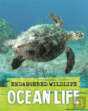 Endangered Wildlife: Rescuing Ocean Life