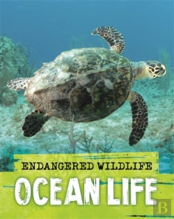 Bertrand.pt - Endangered Wildlife: Rescuing Ocean Life