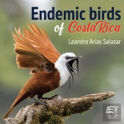 Endemic Birds Of Costa Rica