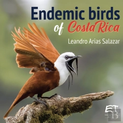 Bertrand.pt - Endemic Birds Of Costa Rica