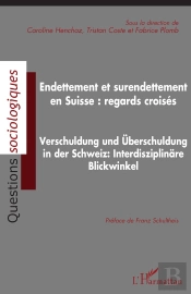 Endettement Et Surendettement En Suisse : Regards Croisés