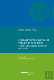 Endeudamiento Empresarial Y Fusión De Sociedades