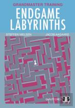 Endgame Labyrinths