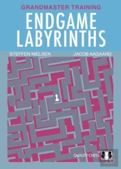 Endgame Labyrinths