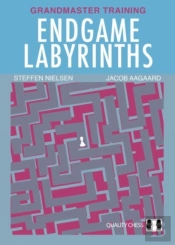 Endgame Labyrinths