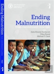 Ending Malnutrition Â€“ From Commitment To Action