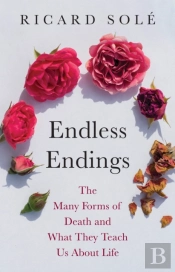 Endless Endings
