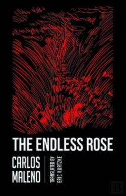 Bertrand.pt - Endless Rose