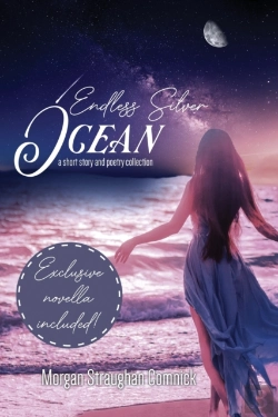 Bertrand.pt - Endless Silver Ocean