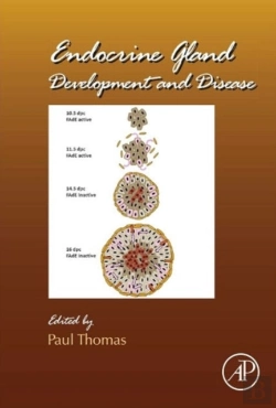 Bertrand.pt - Endocrine Gland Development And Disease