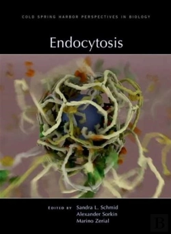 Bertrand.pt - Endocytosis