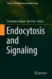 Endocytosis And Signaling