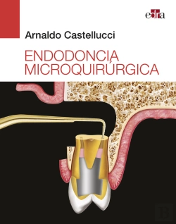 Bertrand.pt - Endodoncia Microquirúrgica