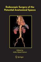 Endoscopic Surgery Of The Potential Anatomical Spaces