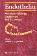Endothelin