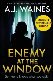Enemy At The Window