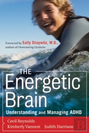 Energetic Brain