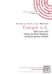 Énergie 4.0. ; Défis 2030-2050