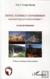 Énergie, Économie Et Environnement ; Contradiction Ou Co-Développement ; Le Cas Du Cameroun