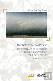 Energie Et Melancolie. Les Entrelacs De L'Ecriture Dans Les Notebooks