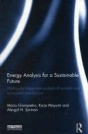 Energy Analysis For A Sustainable Future