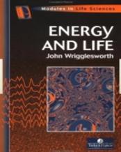 Energy And Life