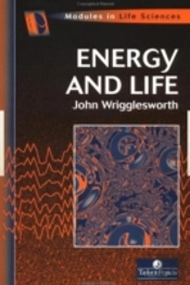 Energy And Life