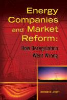 Energy Companies And Market Reform