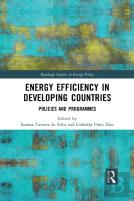 Energy Efficiency In Developing Countries