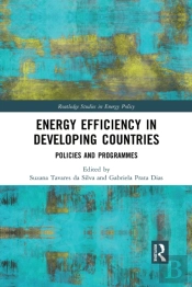 Energy Efficiency In Developing Countries