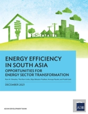 Energy Efficiency In South Asia