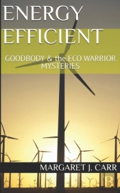 Energy Efficient