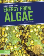 Energy From Algae